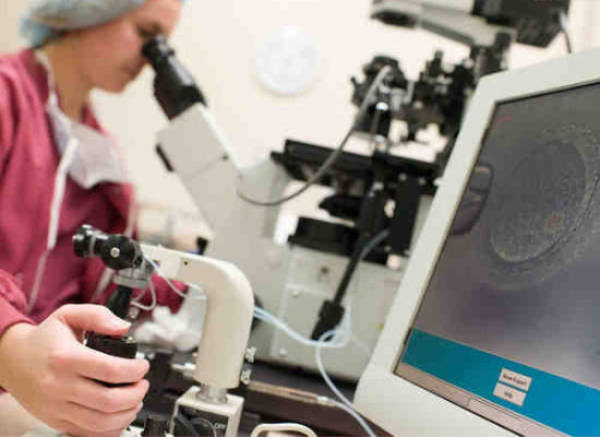 ������ɹ�ʶ