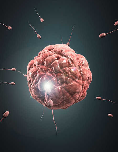 ��һ����ɹ�ʶ