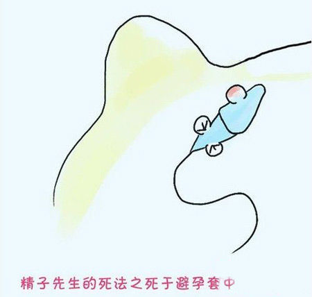 ���ڱ�������