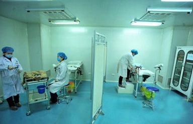 �辫�ĳ���