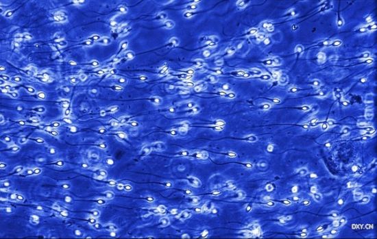 �����еľ���