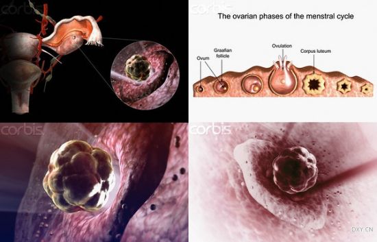 ���ѹ���ʾ��ͼ