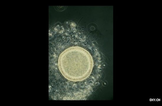 ��500�������ͬʱ�������ǵ��յ����������ѹ��е�����