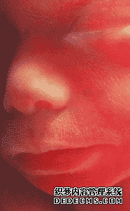 ̥ͼ: 2124ʱ̥