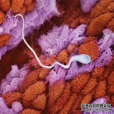 ���� һ�������������ѹ��ҺĤ���ڵ�һ������