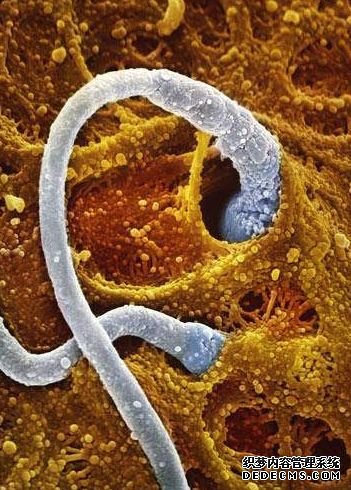 ���� ������������һ�����ӵĿ���