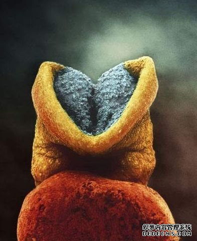 2��� ��̥��δ�������죬�����ǿ��Կ��������ڲ��ˡ�