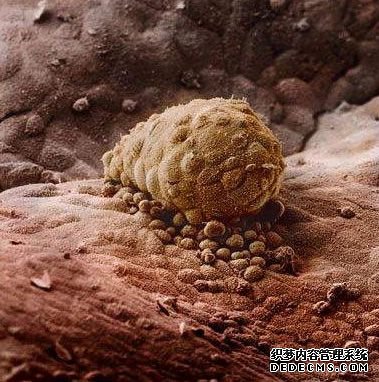 8��� ����������̥��λ��ĳ���λ�ã����������Ĥ�ϡ�