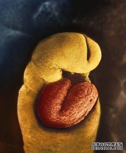 24��� ��һ������������֮һ���࿪ʼ����