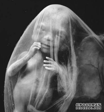 36�ܺ� �ӹ����ڽ�����̥��