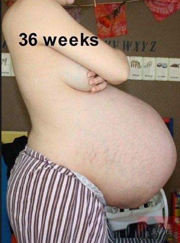 36ʱ