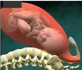 宝宝是旋转着出生的看看生孩子全过程(资料图) 宝宝是旋转着出生的看看生孩子全过程(资料图)