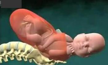 宝宝是旋转着出生的看看生孩子全过程(资料图) 宝宝是旋转着出生的看看生孩子全过程(资料图)