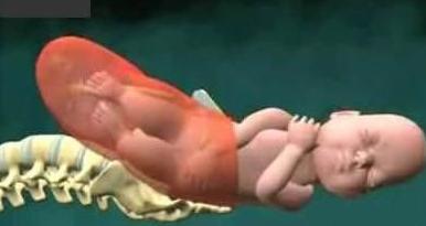 宝宝是旋转着出生的看看生孩子全过程(资料图) 宝宝是旋转着出生的看看生孩子全过程(资料图)