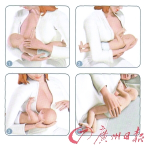 “橄榄球式”哺乳法 “橄榄球式”哺乳法
