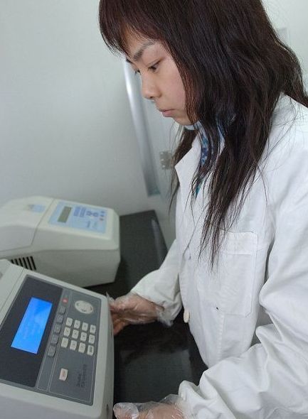 ����PCR��������