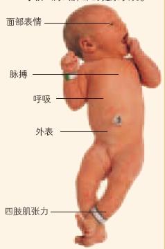 ������һ������ҽ���ͻ����̶Ա�������⣬��ȷ���ķν����Լ��Դ̼���