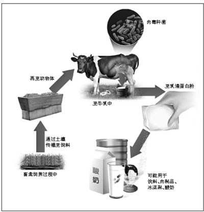 �ⶾ�˾��������嵰�׷ۺ�ʳƷ�Ĺ��̡�