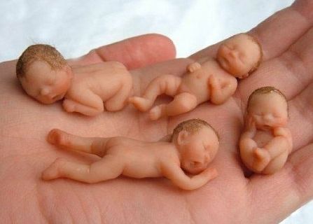 ����~ƭ��ģ�����ʵ���ɿ������ı���~