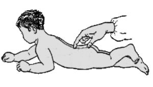 ͼ2