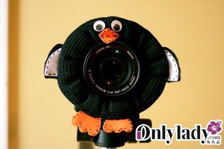 可爱的小企鹅 可爱的小企鹅