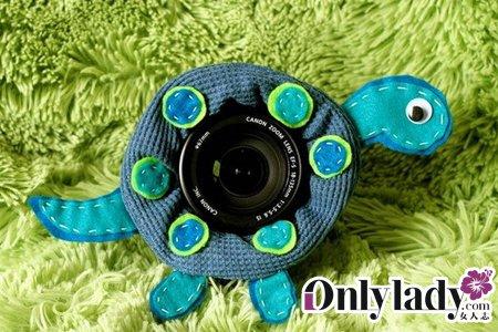 小乌龟,小乌龟 小乌龟,小乌龟