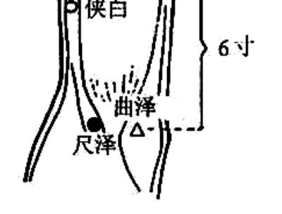 尺泽穴 尺泽穴