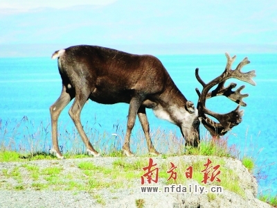 <b>美妙旅程给孩子新的体验</b> <b>美妙旅程给孩子新的体验</b>
