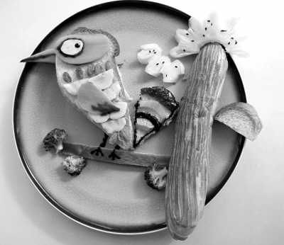 ��ľ��������