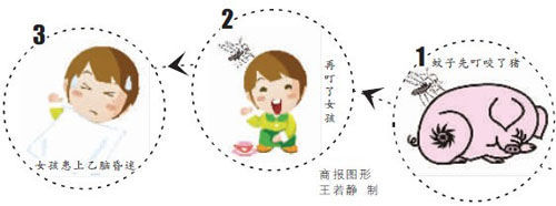 ͼ�⻼������