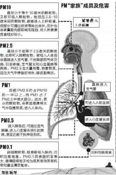 PM图表 PM图表