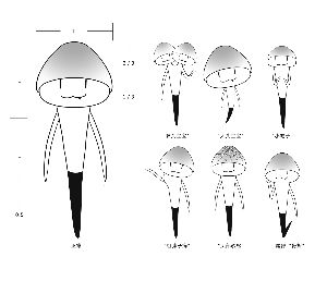 正常 “双头宝宝” “大头宝宝” “小帽子” “粗脖子病” “头部疏松” 尾部“骨折” 正常 “双头宝宝” “大头宝宝” “小帽子” “粗脖子病” “头部疏松” 尾部“骨折”