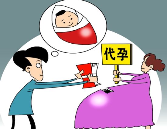 委员建议"禁止代孕"改为"规范代孕" 委员建议"禁止代孕"改为"规范代孕"