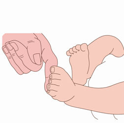 图5-1 足底抓握反射 图5-1 足底抓握反射