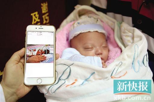 广东最“袖珍”宝宝在中山一院抢救成功。新快报记者 孙毅/摄 广东最“袖珍”宝宝在中山一院抢救成功。新快报记者 孙毅/摄