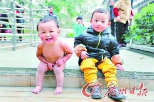 光光的小宝宝。 光光的小宝宝。