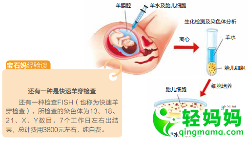 一定要重点看:唐筛高危 需进一步做羊水穿刺