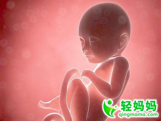 科普:胎儿18周就能看出是否“左撇子”